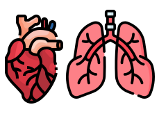 Cardiologie - Pneumologie